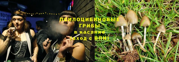 стафф Орск