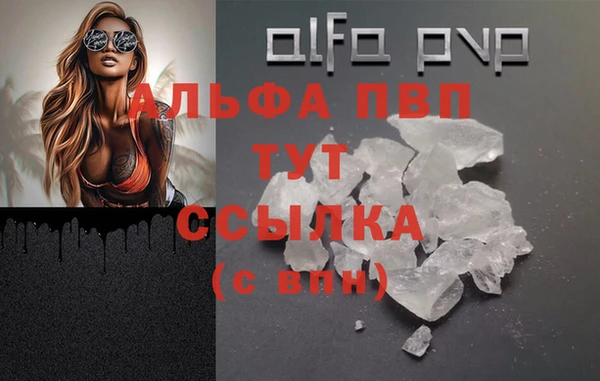 крисы Лабытнанги