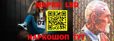 амф Камышлов