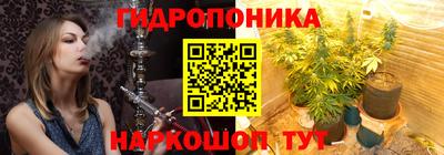 прущие грибы Балаково