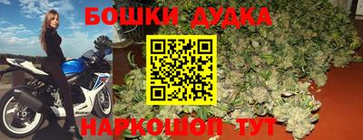 прущие грибы Балаково