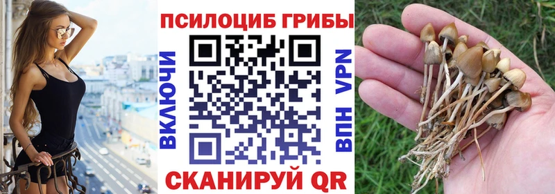 Псилоцибиновые грибы прущие грибы  OMG зеркало  Шебекино 