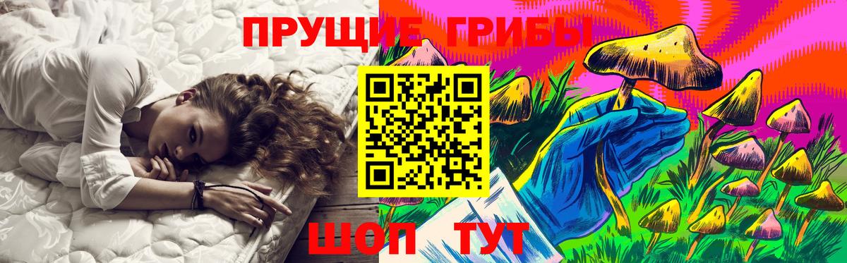 Псилоцибиновые грибы GOLDEN TEACHER  Шебекино 