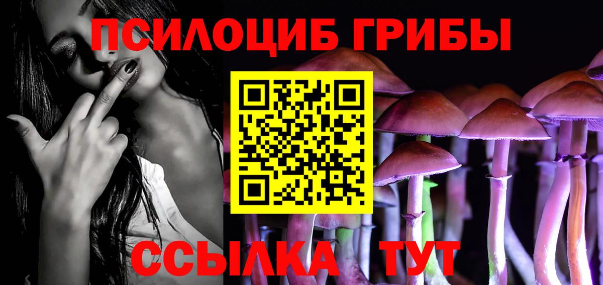 Галлюциногенные грибы GOLDEN TEACHER Шебекино